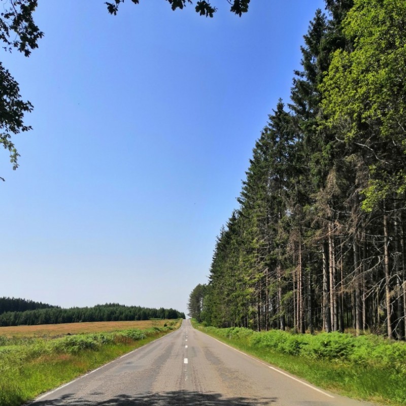 wolven groepskamp 2019